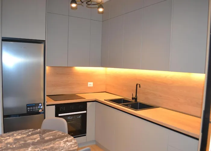 アパート Albania Haven 7 Mine Peza ティラナ